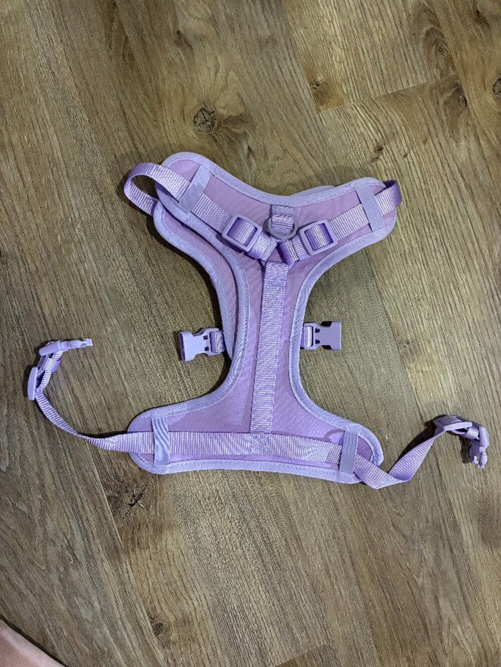 Vibrant Life purple dog harness